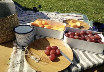 How to Make Travel Snacks: Top 10 Easy & Healthy Recipes