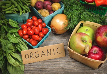 How to Make Your Organic Food at Home?